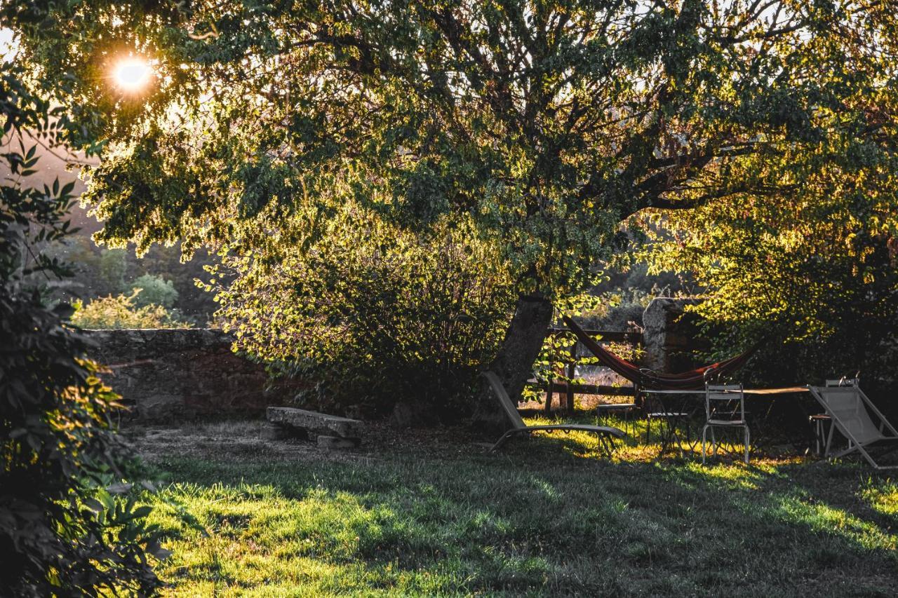 Tiny House Morvan Bourgogne Nature - 2H De Paris Bussieres  Ngoại thất bức ảnh